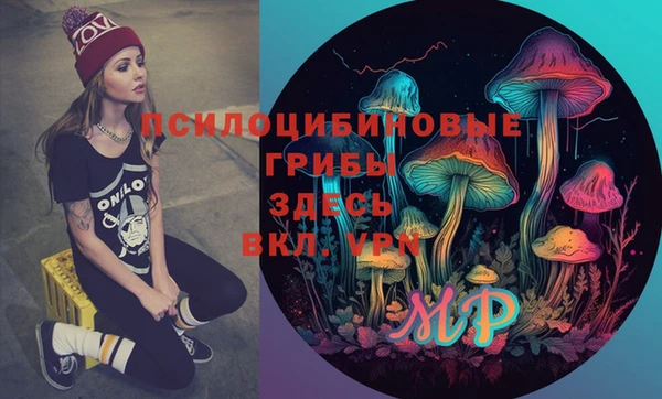 прущие грибы Алзамай
