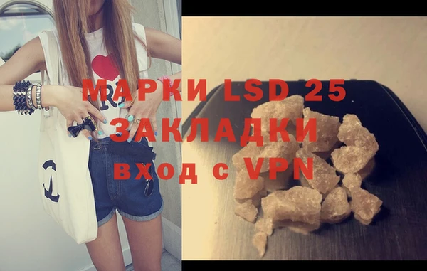 прущие грибы Алзамай