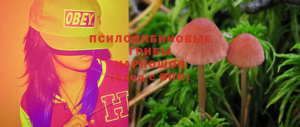прущие грибы Алзамай